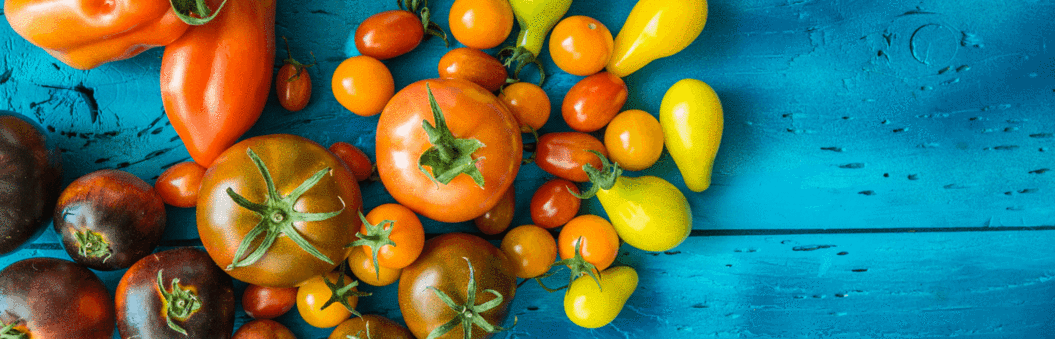 THIS IS YOUR BRAIN ON CAROTENOIDS: CAROTENOIDS (L & Z) TO THE RESCUE