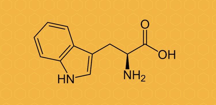 HOW TRYPTOPHAN NATURALLY BENEFITS YOUR SLEEP & MOOD