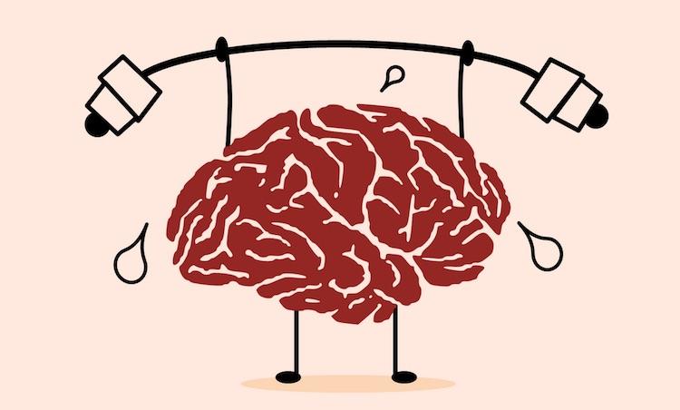 HOW LOW-CARB HIGH-FAT AND KETOGENIC DIETS BOOST BRAIN HEALTH