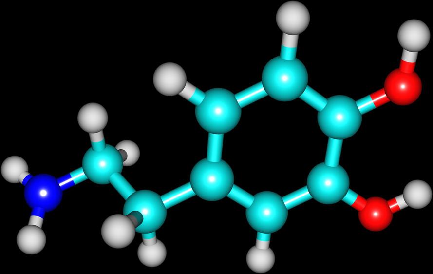 Could You Have a Dopamine Imbalance?